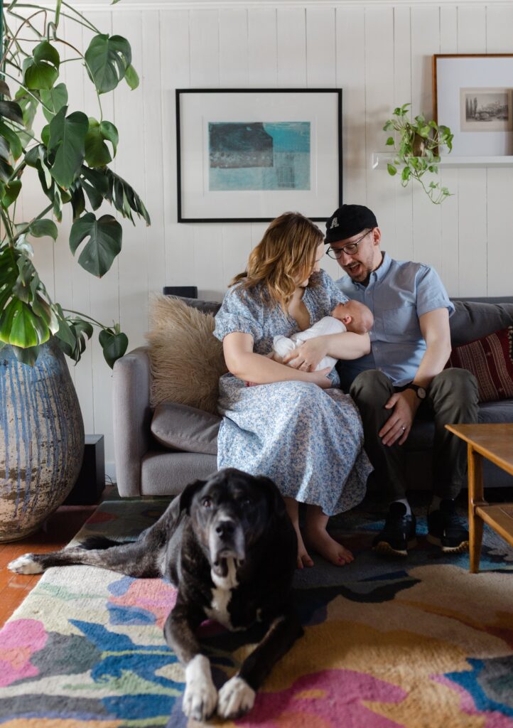 In-home newborn session in Edina, MN with big brother