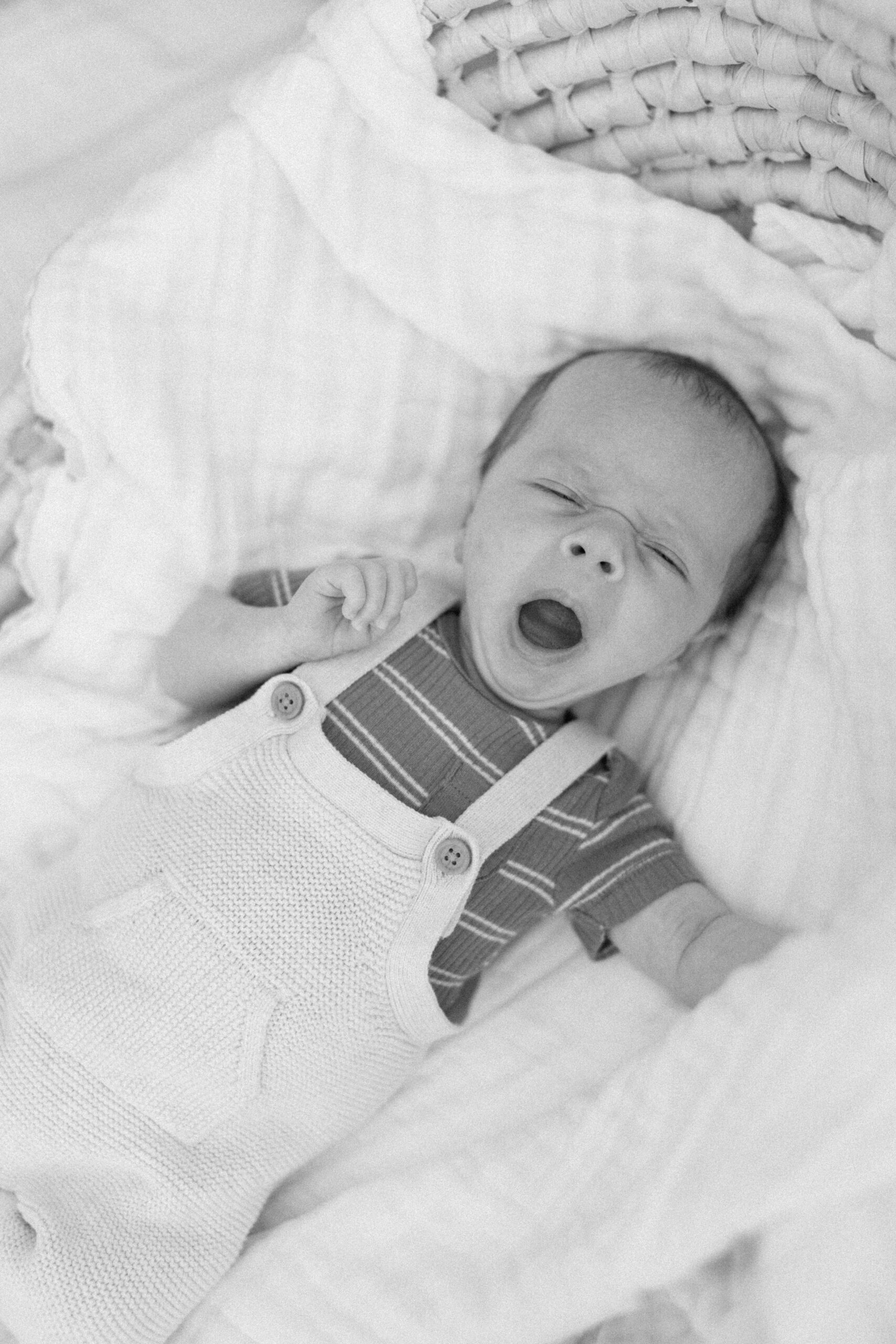 newborn photo in minneapolis
